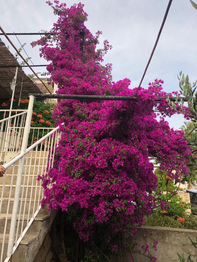 Cozy New Flat For 2 Or 3 Apartment Hvar Town Exterior foto