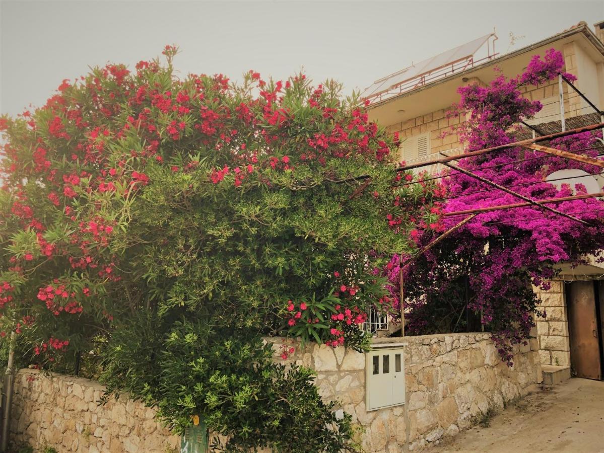 Cozy New Flat For 2 Or 3 Apartment Hvar Town Exterior foto