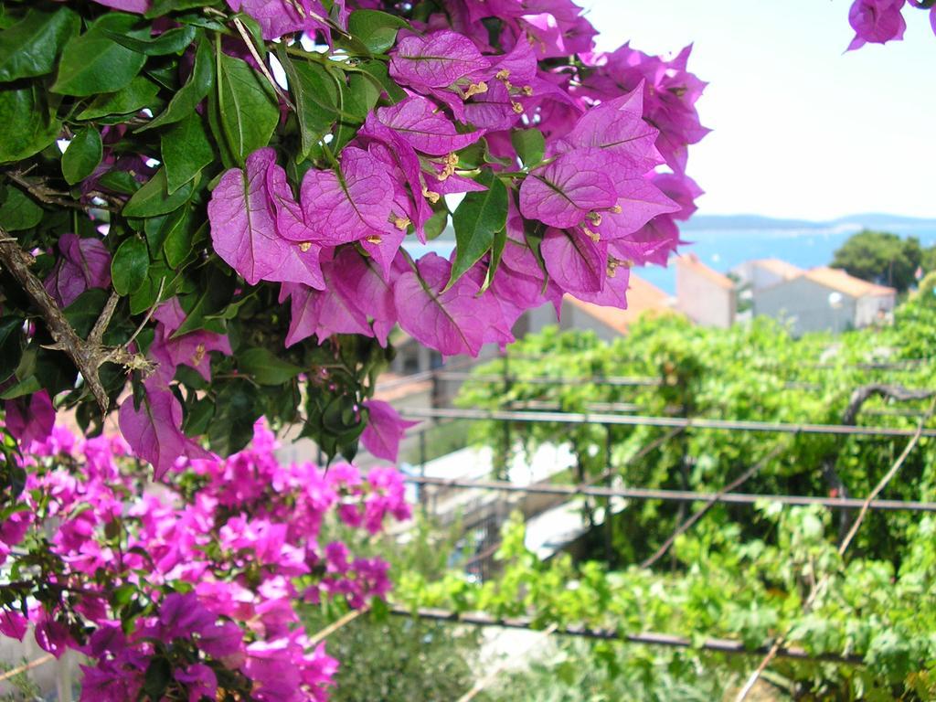 Cozy New Flat For 2 Or 3 Apartment Hvar Town Exterior foto