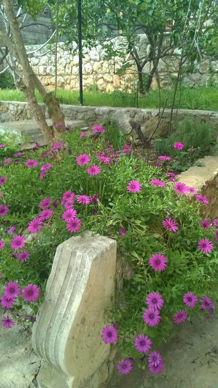 Cozy New Flat For 2 Or 3 Apartment Hvar Town Exterior foto